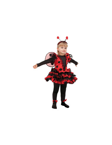 Costume Coccinella 2-3 anni